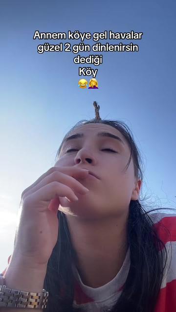 @çağlakement