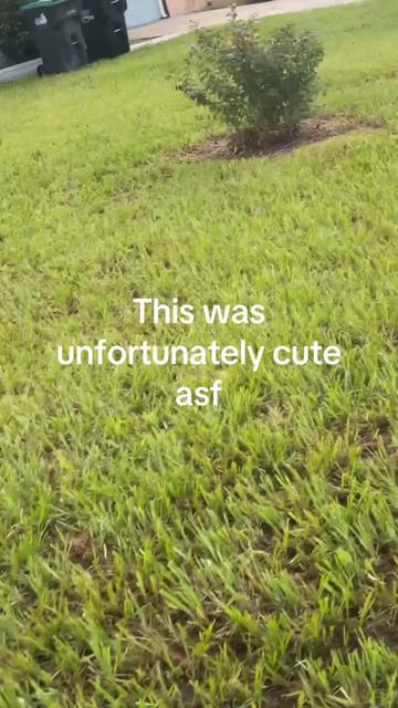 @Xavier Serrano