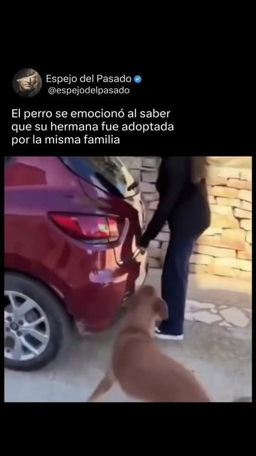 @espejodelpasado