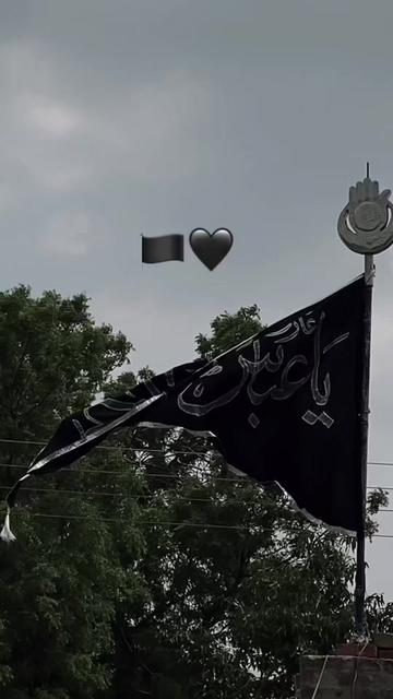 @Tazeem Abbas 🏴🙌🏻