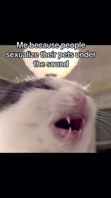 @𝙄 ♡ 𝙆𝙐𝙍𝙏_𝘾𝙊𝘽𝘼𝙄𝙉
