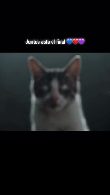 @🦖 MEOWassic World 🌎