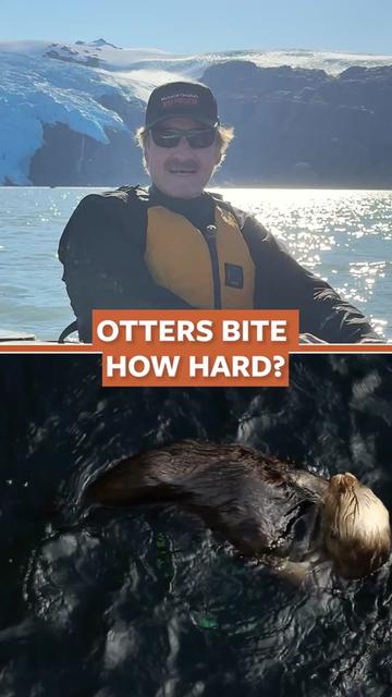 @Mutual of Omaha's Wild Kingdom