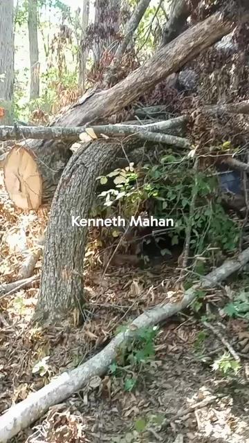 @kennethmahan822