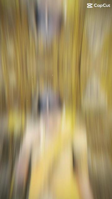 @๐ฆ๐ ๐ ๐ ๐ ๐ ๐ ๐๐ฆ