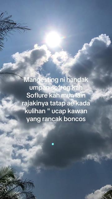 @Hayau tarus