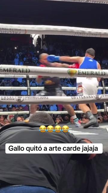 @GAVYX _PR