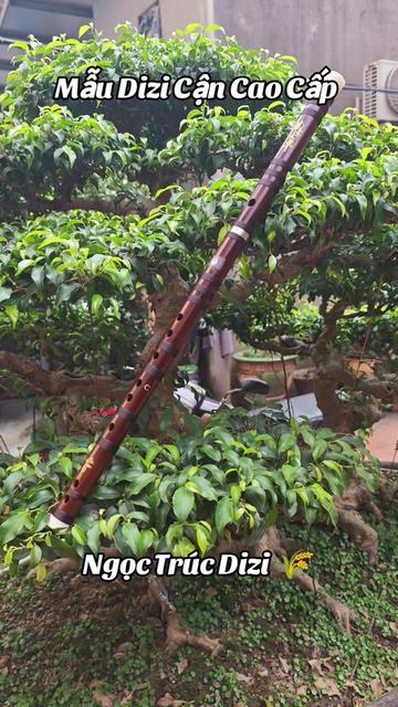 @Thế Anh Dizi
