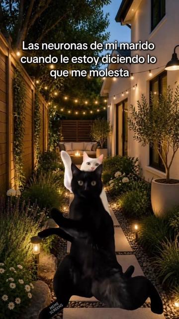 @gesica acosta