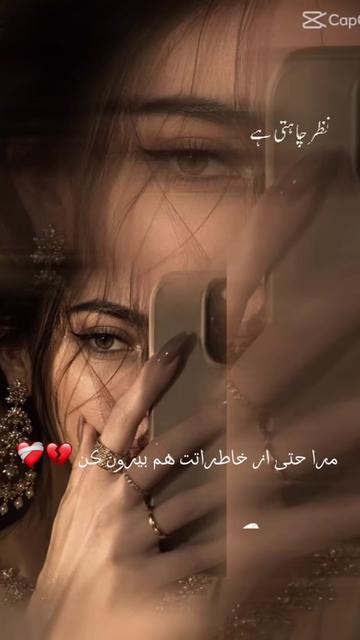 @Sofia Sahar