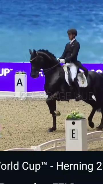 @DressageHub