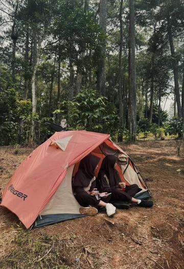 @forestpalofficial