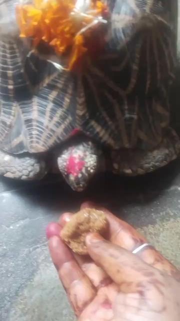 @Sanatan Ravi Shekhar