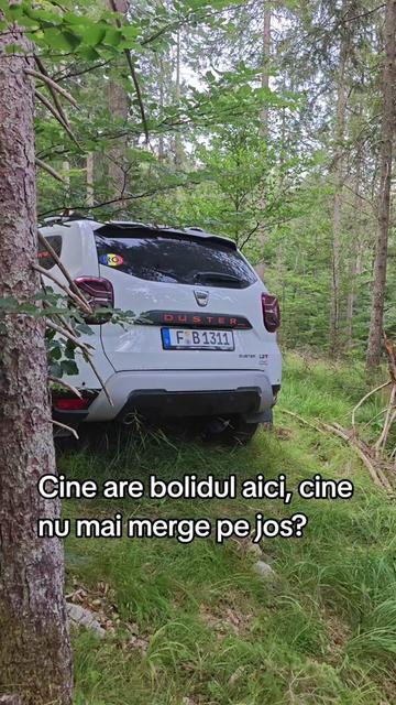 @ionuthabuc_duster_fan