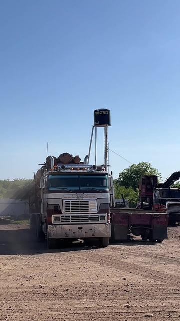 @Chihuahua Trucks