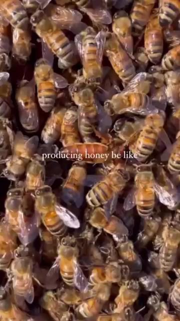 @queenandcolony