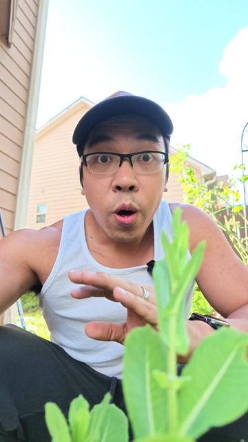 @Buff Gardener