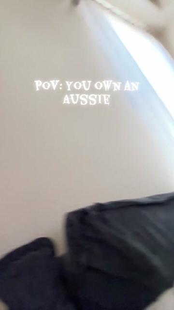 @Isla the Aussie