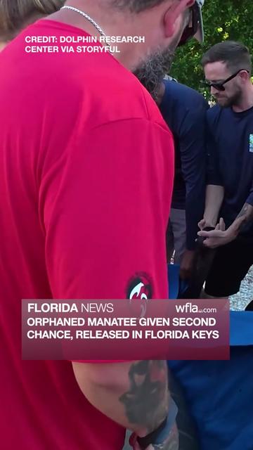@WFLA News Channel 8