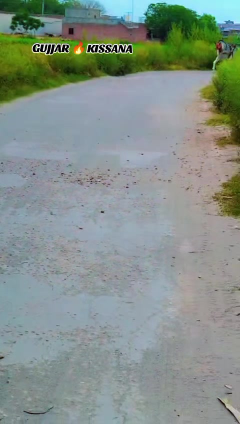 @𝐆𝐔𝐉𝐉𝐀𝐑 𝐊𝐈𝐒𝐒𝐀𝐍𝐀55