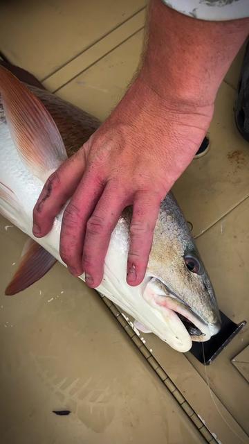 @The Fish Slayer
