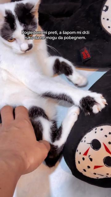 @cosanostrapurr