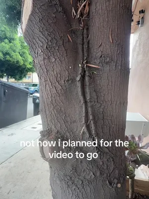 @😎