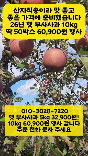 @프루트빌리지