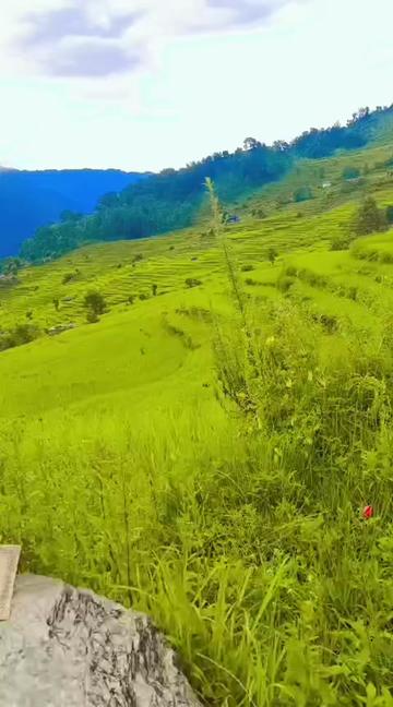 @❤️Vivek ❤️Suman❤️