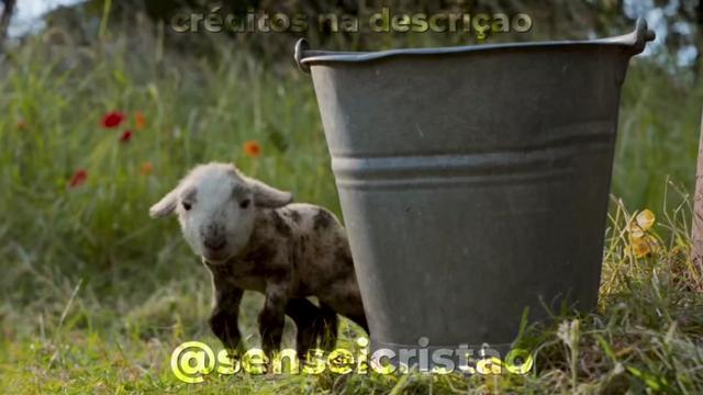 @senseicristao