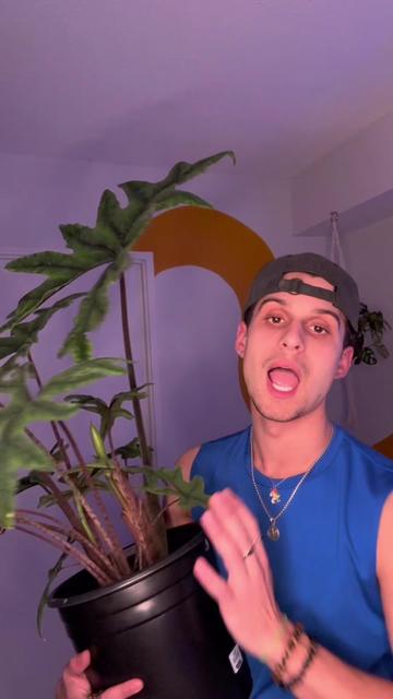 @Alex