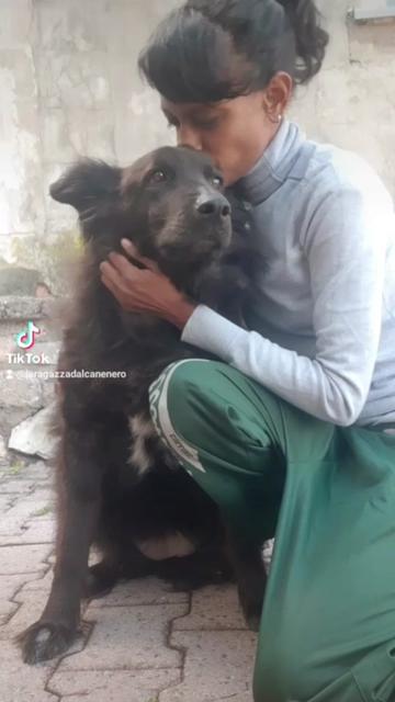 @La ragazza dal cane nero