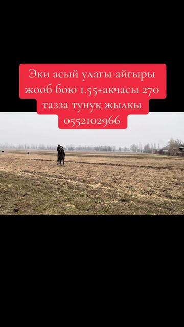 @Oskonbai Tajibaev