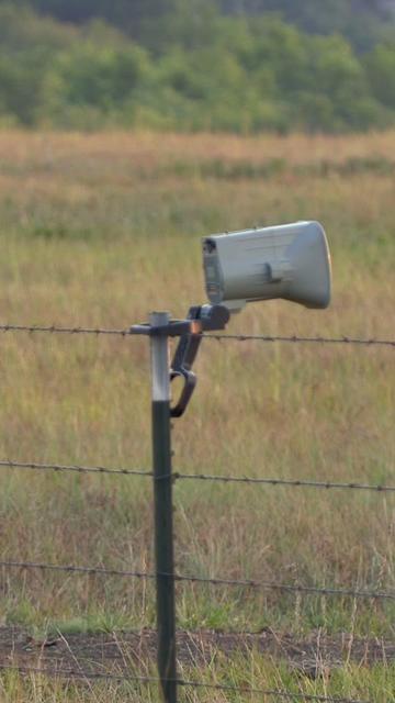 @FOXPRO Game Calls