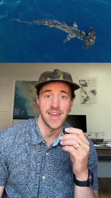 @Nature is Surreal