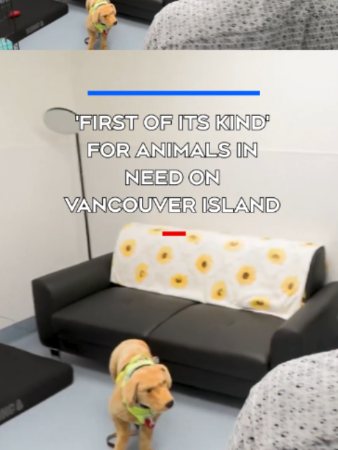 @CTV News Vancouver Island