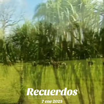 @Erick Elias Archive