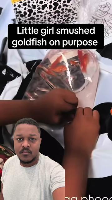 @lifeofrhody