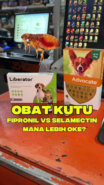 @bejo petmart