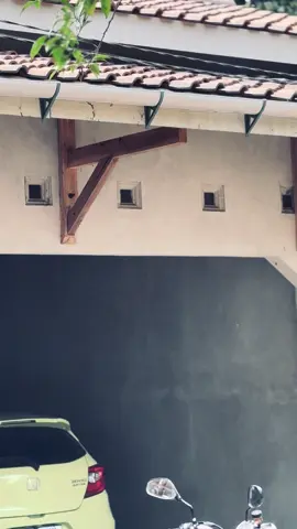 @E🕊️