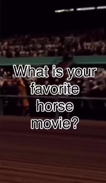 @HORSES