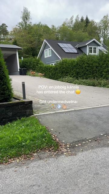 @Ella - hitta ditt inre lugn