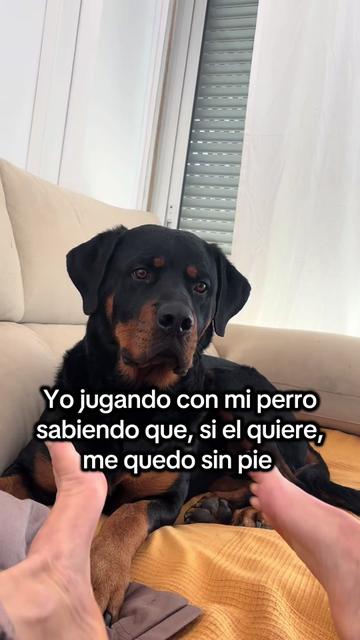 @Anubis y compañía