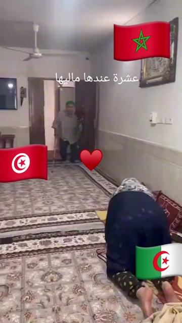 @Momo König DZ/TN🇩🇿🇹🇳Paris