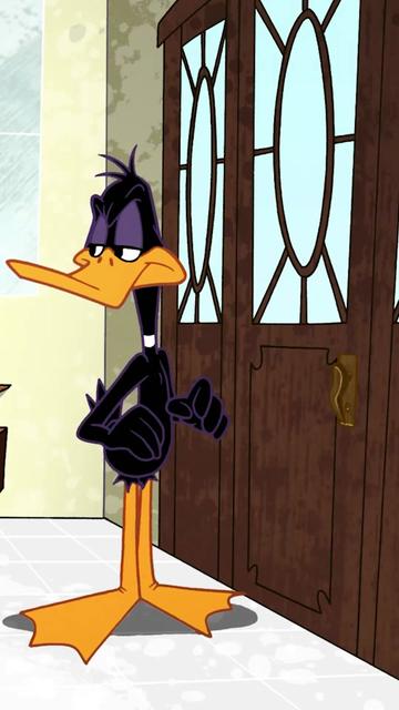@Looney Tunes