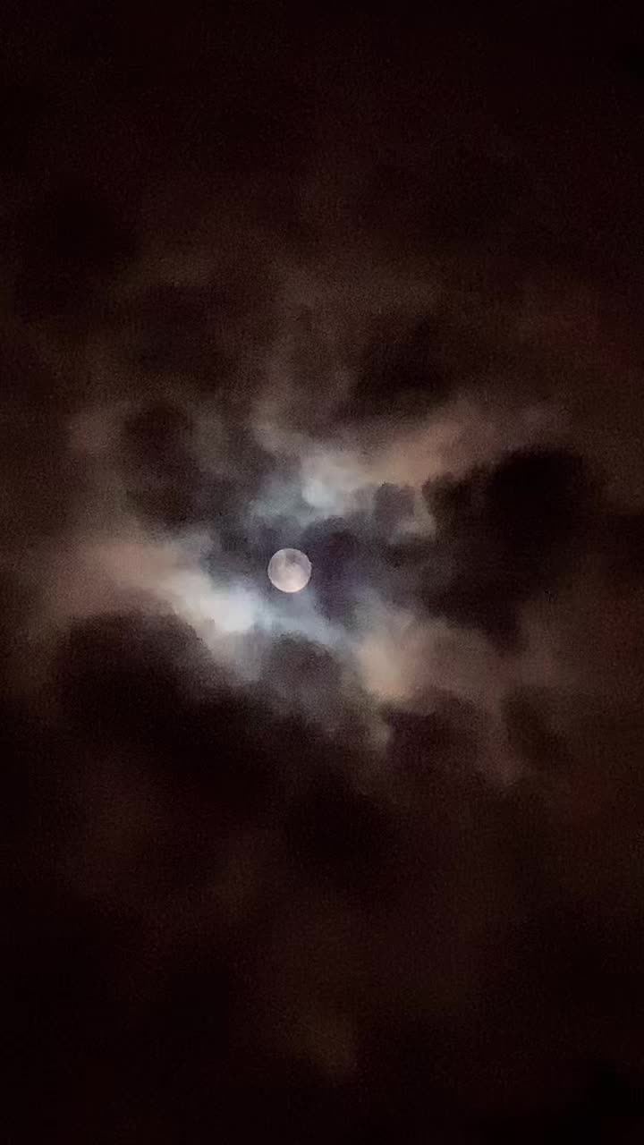 @☽⁺‧₊ moonvenefica ₊‧⁺☾