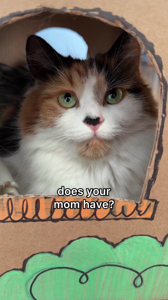 @The Oreo Cat