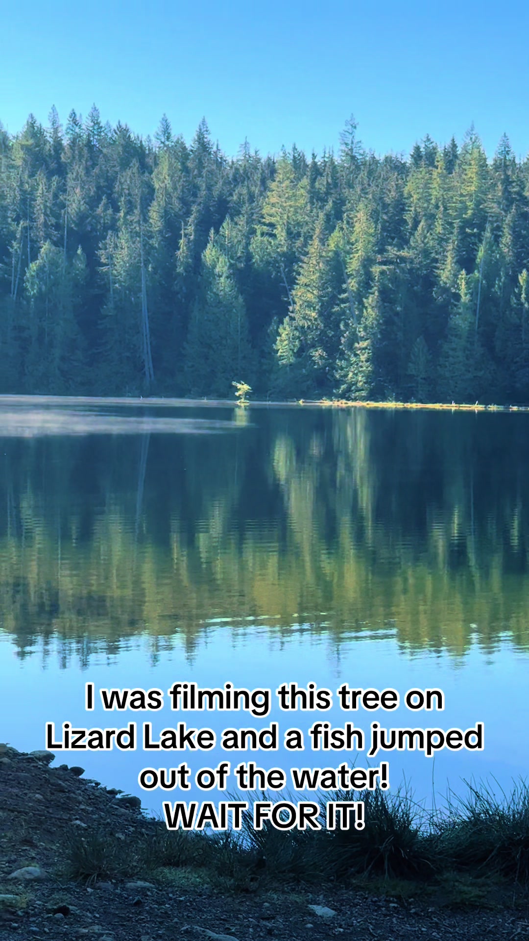 @Vancouver Island BC Canada