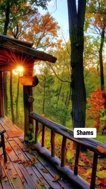 @Shams