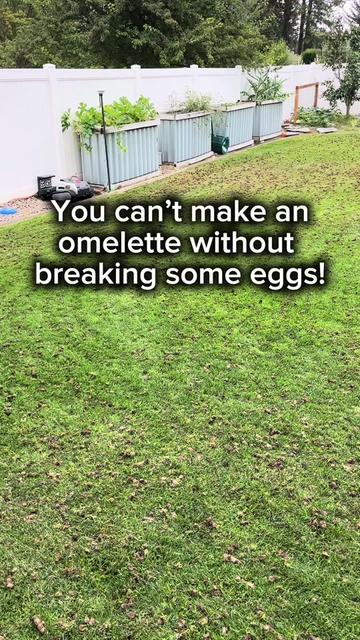 @Lawngest Yard